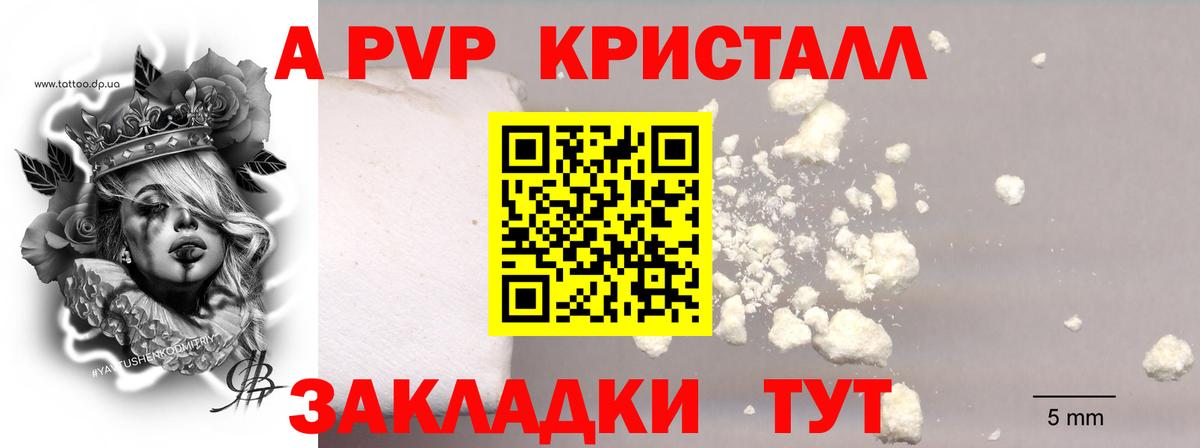 А ПВП СК КРИС Моршанск