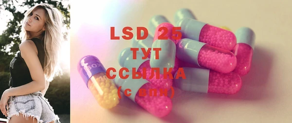 стаф Алексин