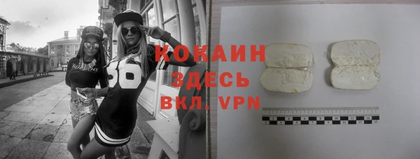 стаф Алексин